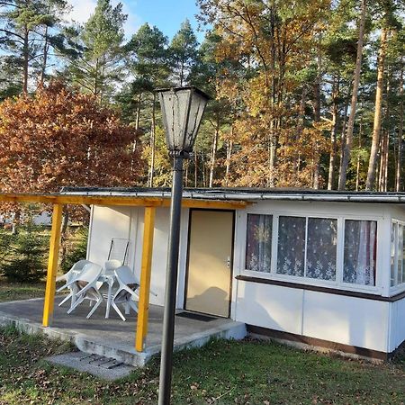 Ferienpark Seenland Lychen Zewnętrze zdjęcie
